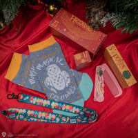 *Calendrier de l'Avent Deluxe Harry Potter 2024