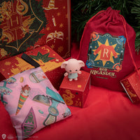 *Calendrier de l'Avent Deluxe Harry Potter 2024