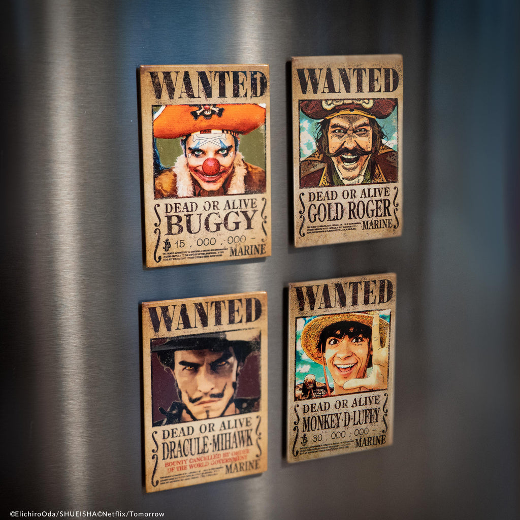 Set de 4 Magnets One Piece Wanted