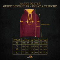 Sweat à capuche Gryffondor