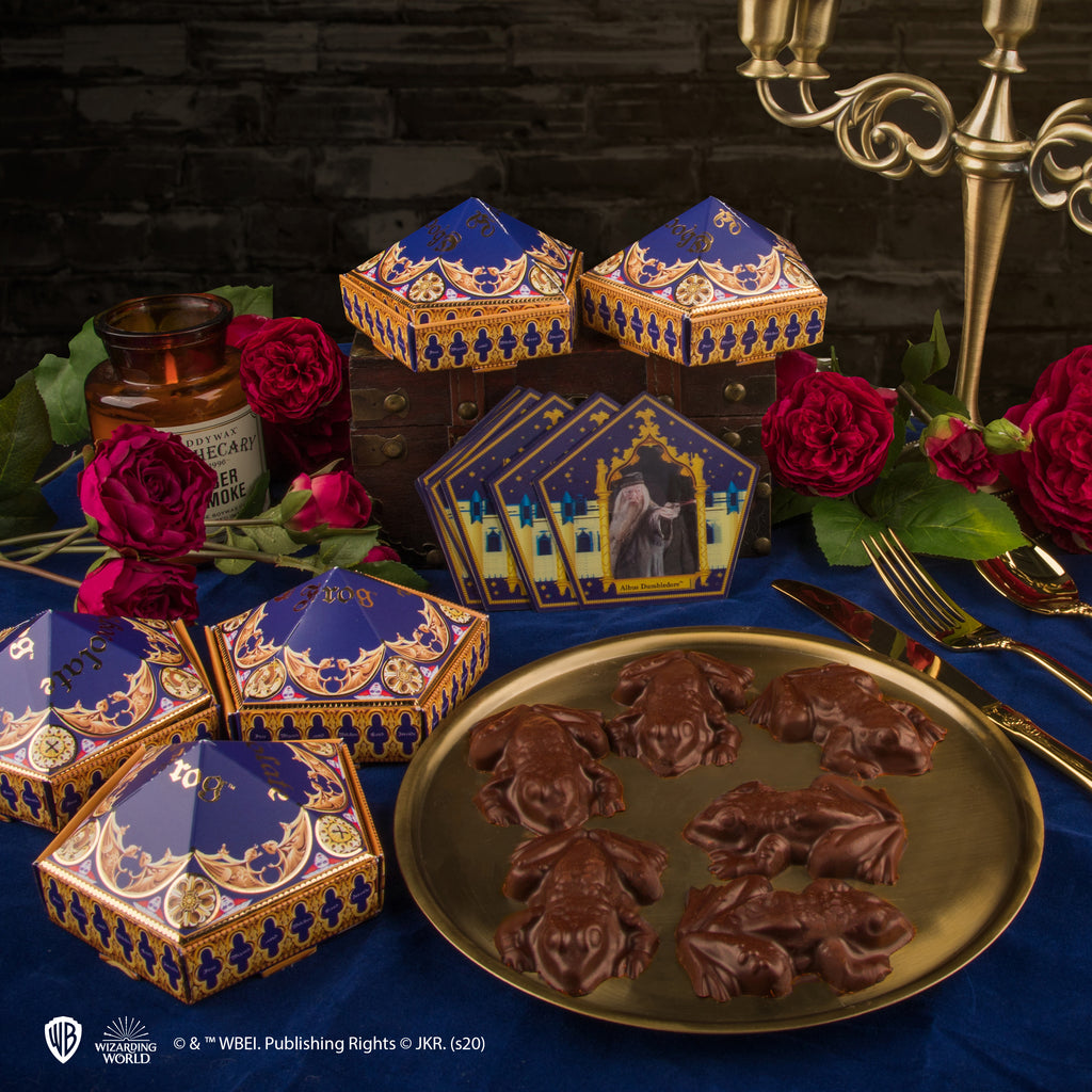 Moule à Chocogrenouilles + 12 cartes magiques + 6 boîtes Chocogrenouille (nouvelle édition)