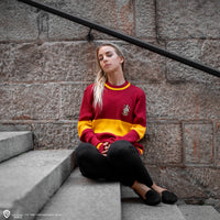 Pull de Quidditch Gryffondor