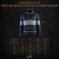 Pull de Quidditch Serdaigle