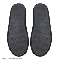 Chaussons Serpentard