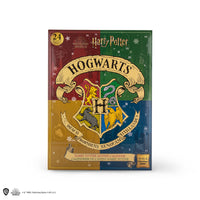 *Calendrier de l'Avent Harry Potter 2021
