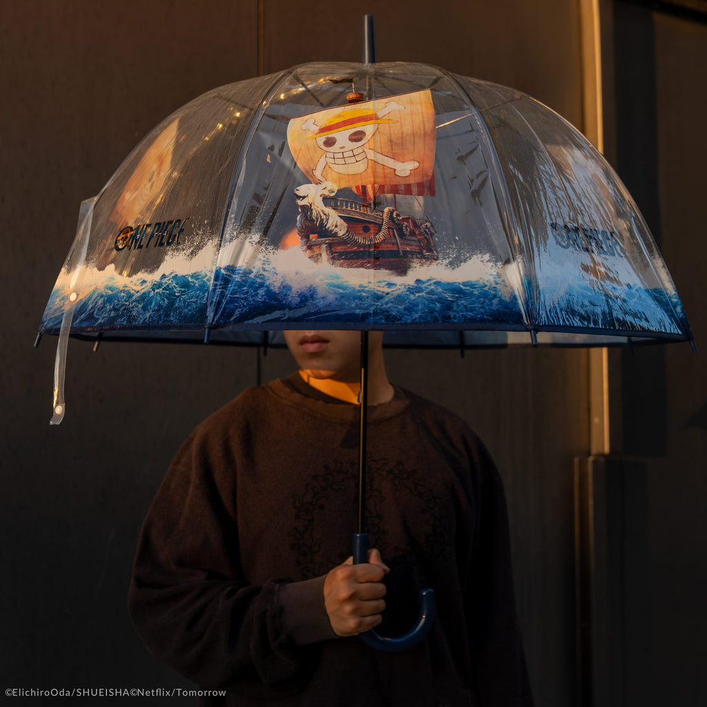 Parapluie Transparent Vogue Merry