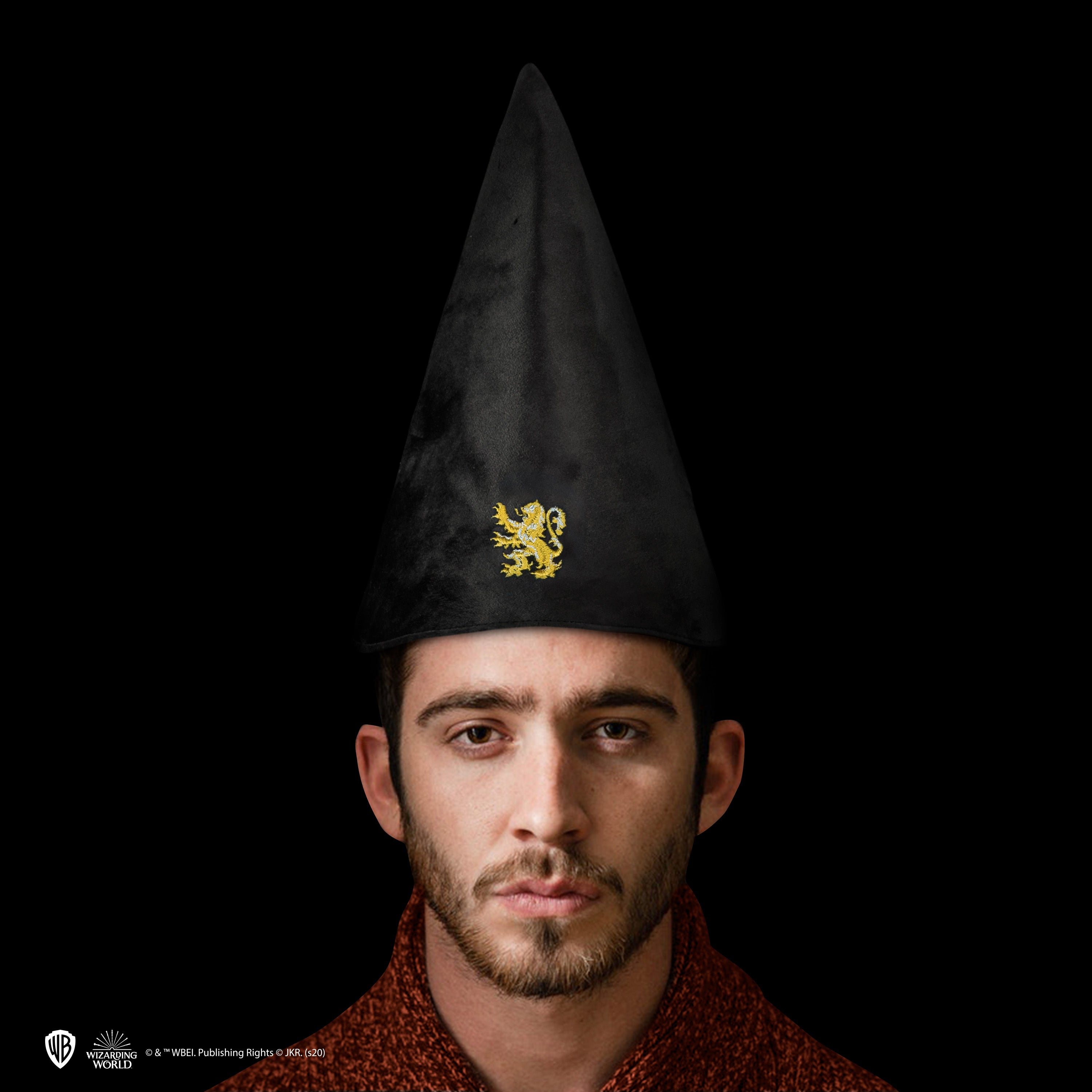 Chapeau d'étudiant Gryffondor, Harry Potter