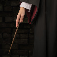 Stylo baguette magique Hermione Granger