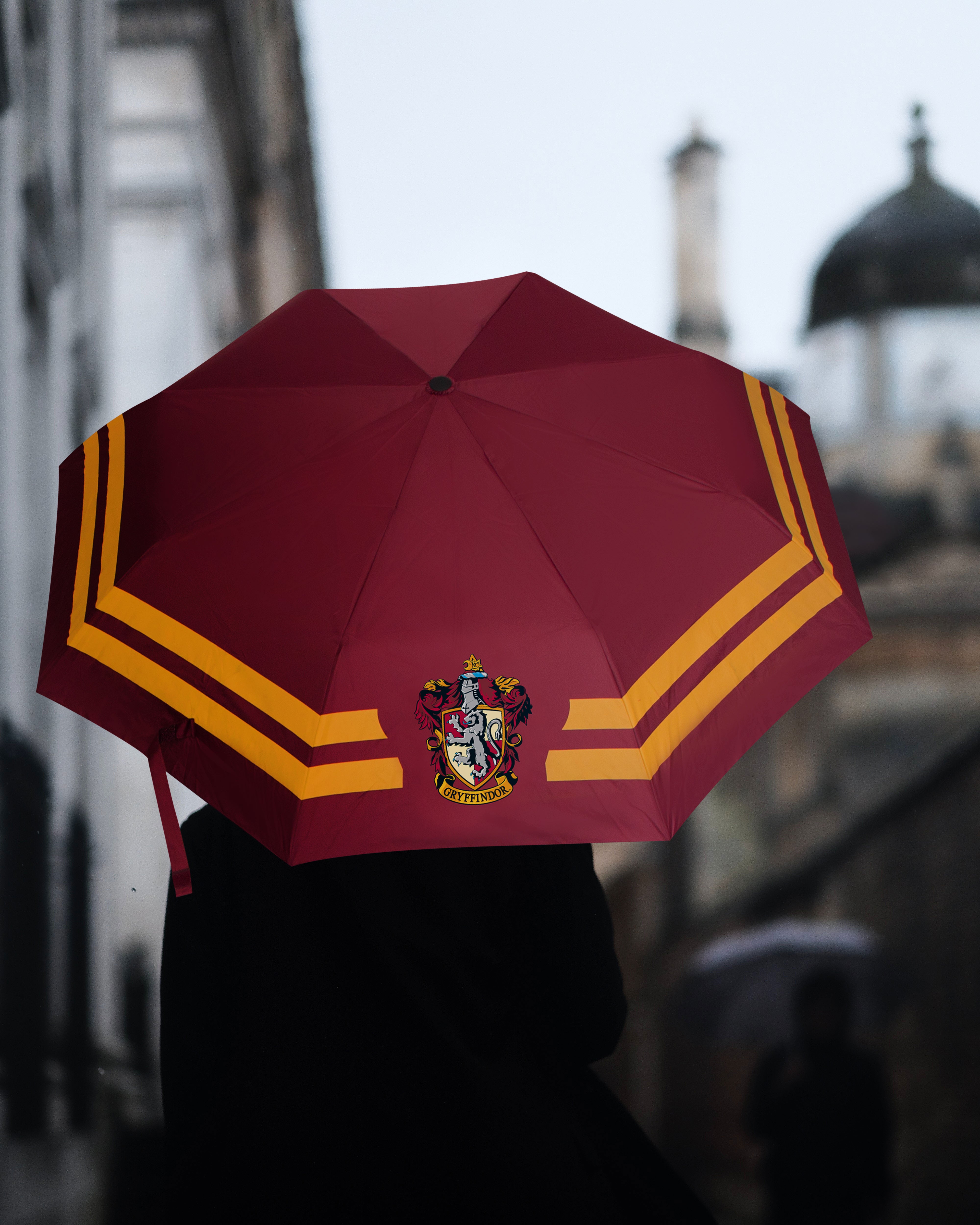 Parapluie Vif d'or Harry Potter™ - Noir